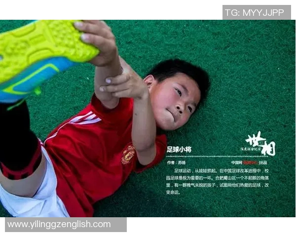 中国足球明星素质综合评比揭晓谁是当今足坛最具实力与影响力的球员