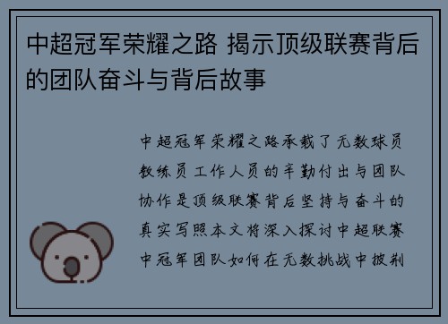 中超冠军荣耀之路 揭示顶级联赛背后的团队奋斗与背后故事